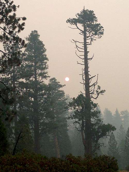 Smoke so thick you could look straight at the sun