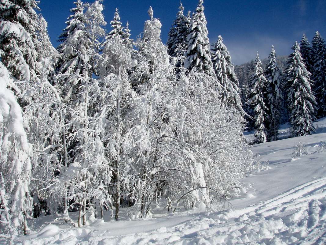 winter wonderland : Photos, Diagrams  Topos : SummitPost