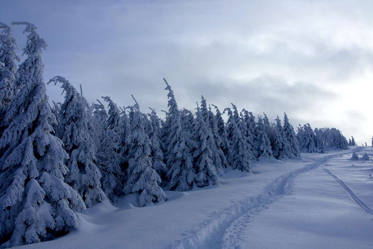 Brocken winter landscape : Photos, Diagrams & Topos ...