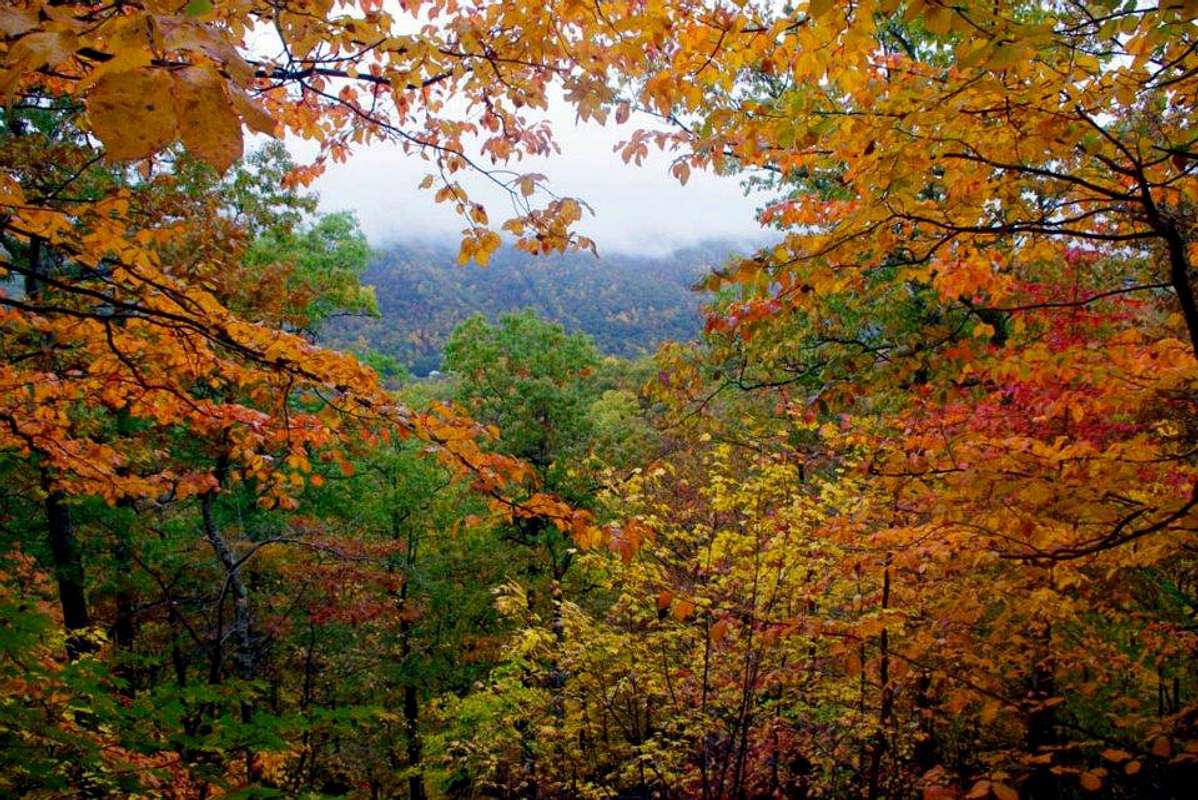 Fall in West Virginia : Photos, Diagrams & Topos : SummitPost