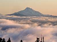 Mount Jefferson Above the Clouds