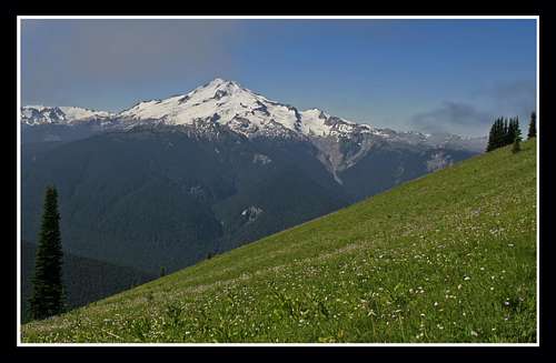 Glacier Peak and Meadow