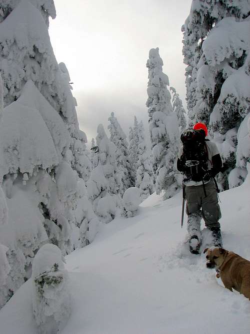 Snow Travel on Arrowhead