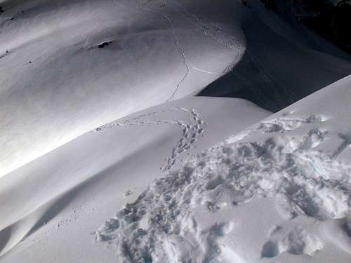 The Route off of the Cornice