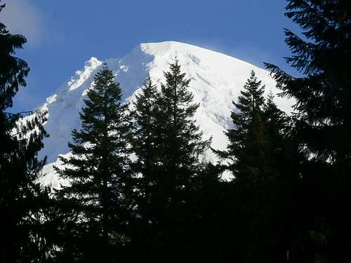 Mount Rainier through the Trees