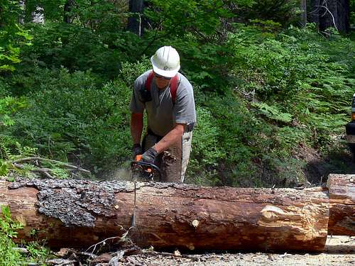 The Log Getting Cut