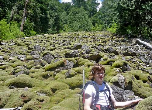 Mark with the boulder field