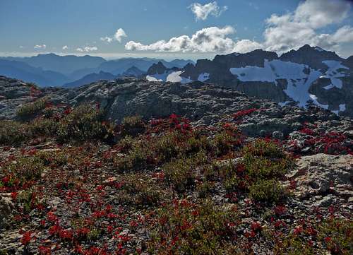 Fall Colors near  the Summit of Kyes Peak