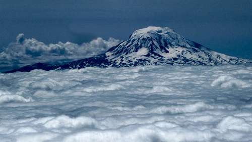 Mount Adams above the Clouds