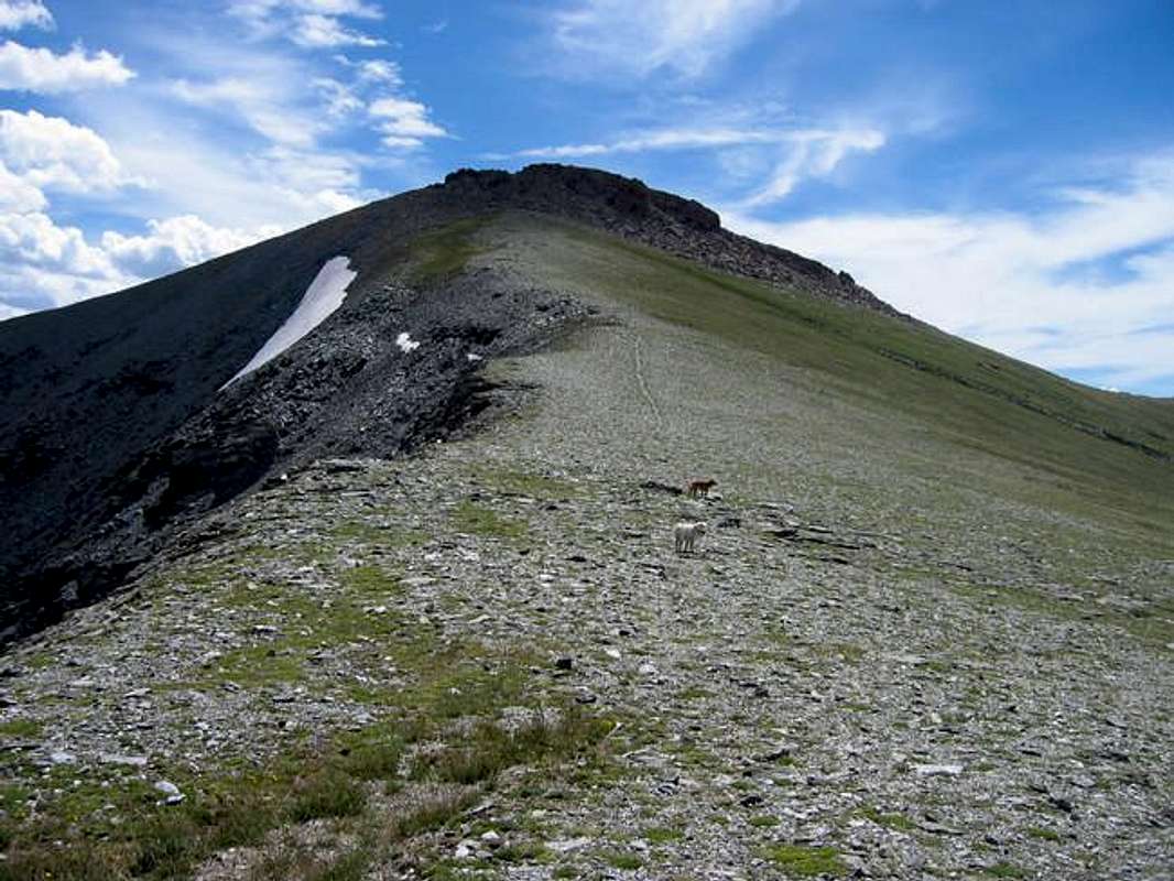 Square Top Mountain (Fossil Ridge Wild.)  photo_id=171831