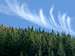 Cirrus Clouds Above the Trees